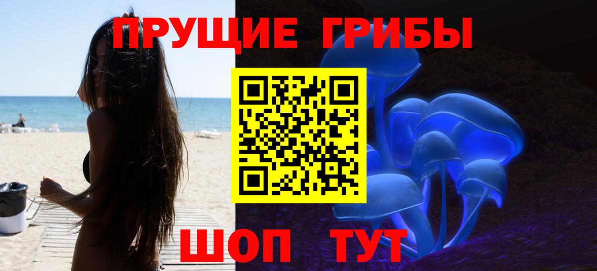Заволжье  Галлюциногенные грибы GOLDEN TEACHER  Вход с VPN 